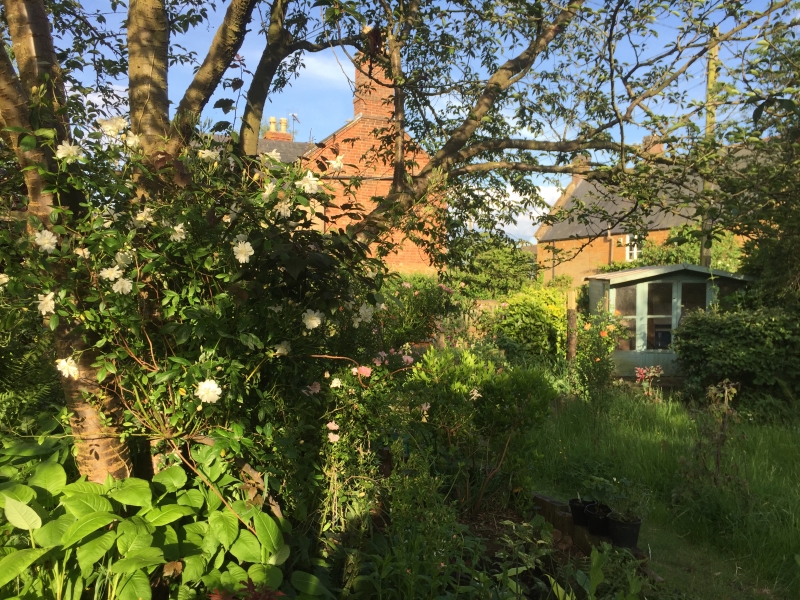 Wisteria House